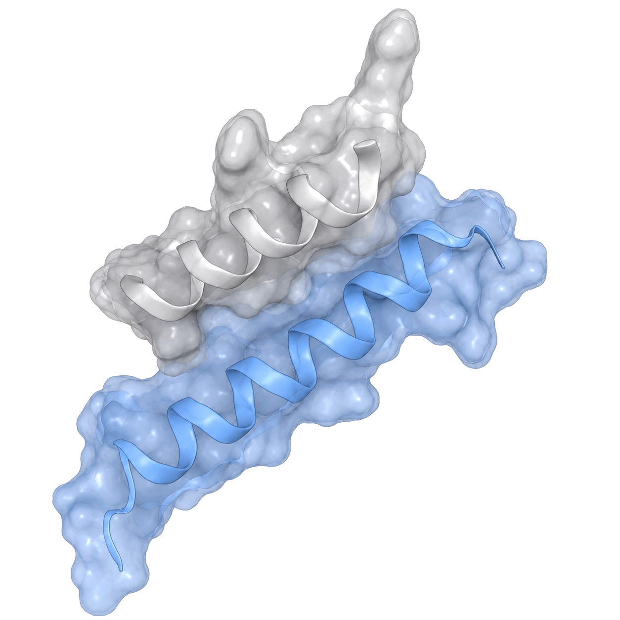 Computationally designed protein therapeutic concept